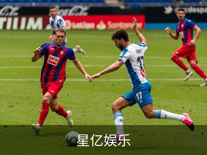 企业简介